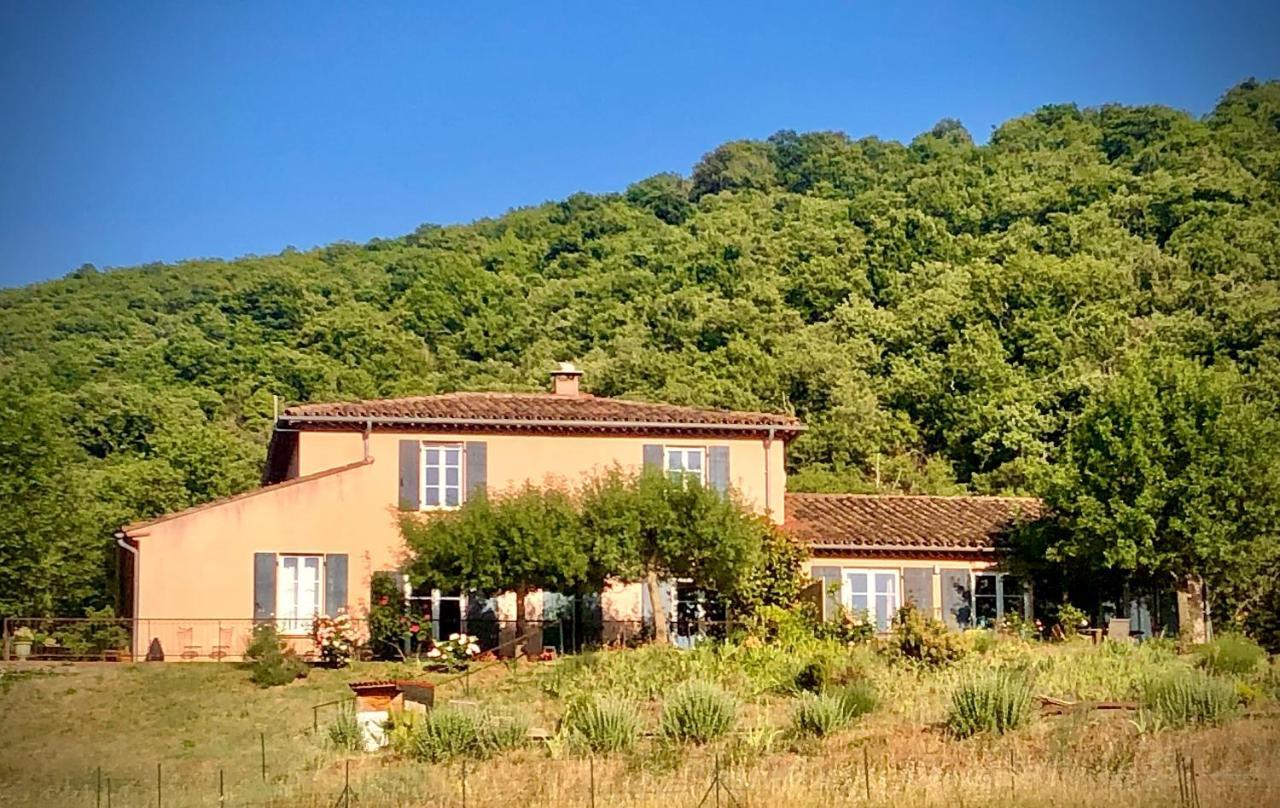 Domaine De Montbarri Bed & Breakfast La Tour-sur-Orb Exterior photo